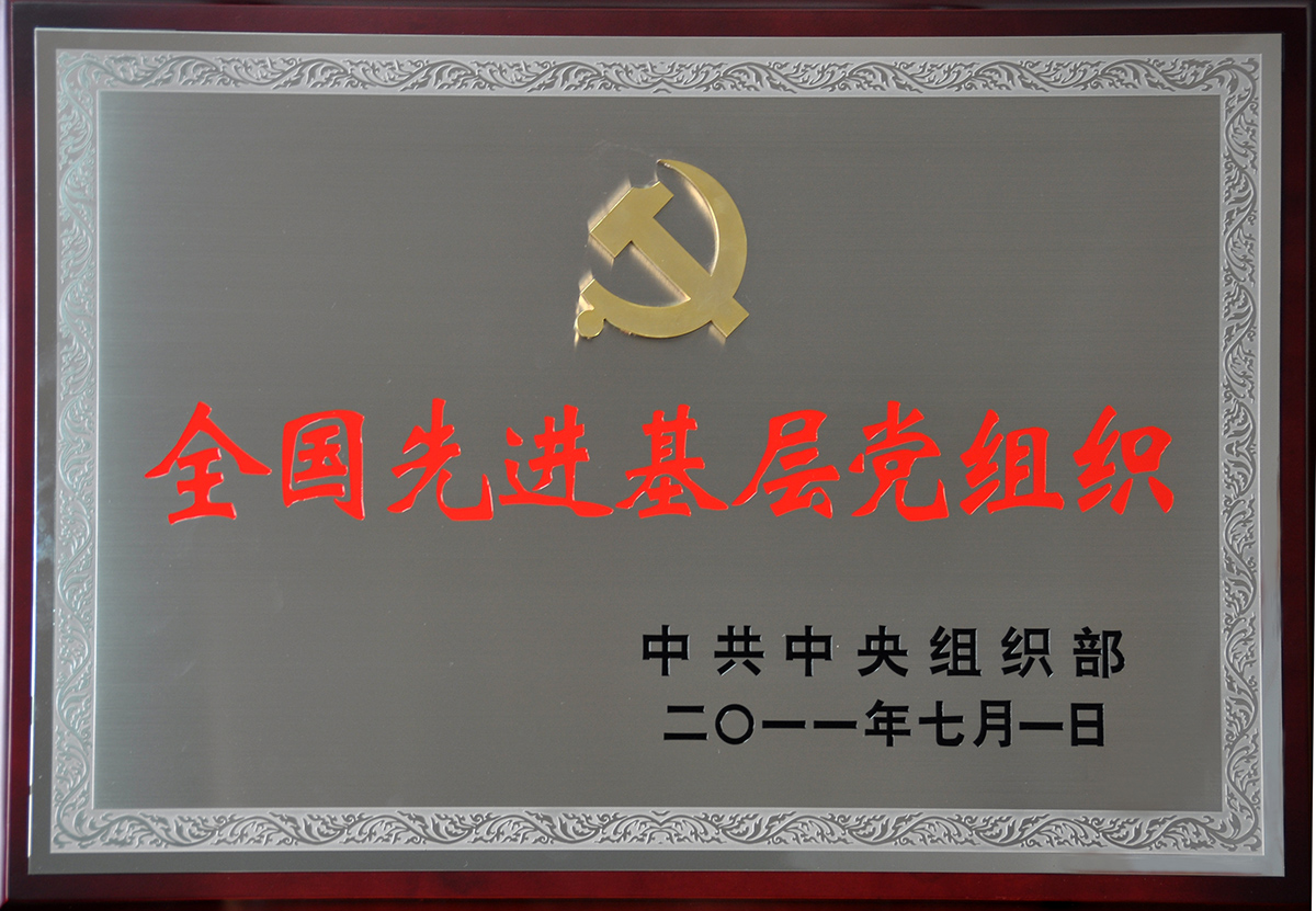 2011年7月，紅豆集團(tuán)黨委榮獲“全國(guó)先進(jìn)基層黨組織”稱號(hào)